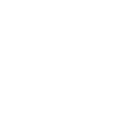 AI-Logo-white-emerge